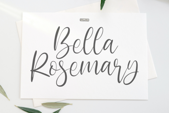 Bella Rosemary: A Designer's Honest Review
