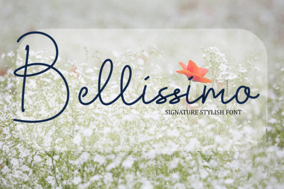Bellissimo: The Elegant Script Font for Polished Branding