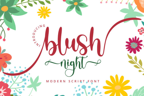 Blush Night: An Elegant Script Font for Branding