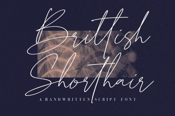 Brittish Shorthair: A Review of This Elegant Handwritten Font