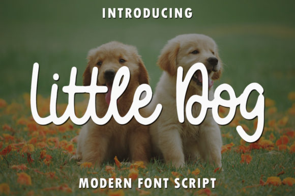Little Dog: A Handwritten Font for Editorial Design