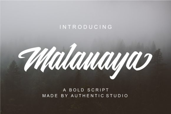 Malanaya: A Bold Script Font for Campaigns