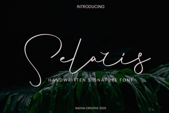 Selaris: A Real-World Designer Review