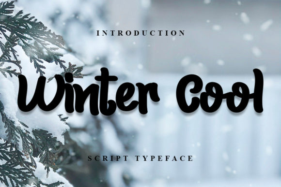 Winter Cool: A Handwritten Font for Small Brands